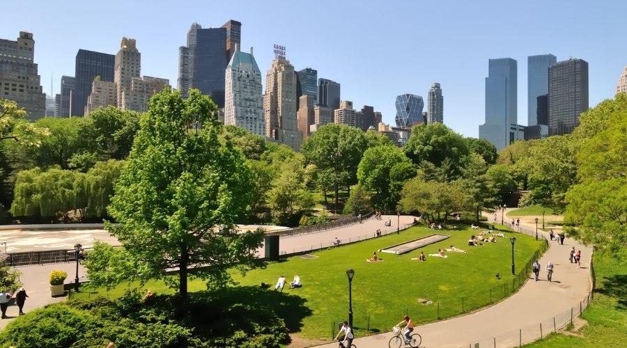 Sunny summer day in park. Image for values-based coaching for tech careers.