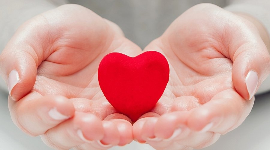 Heart in Hands. A Purpose Driven Life.