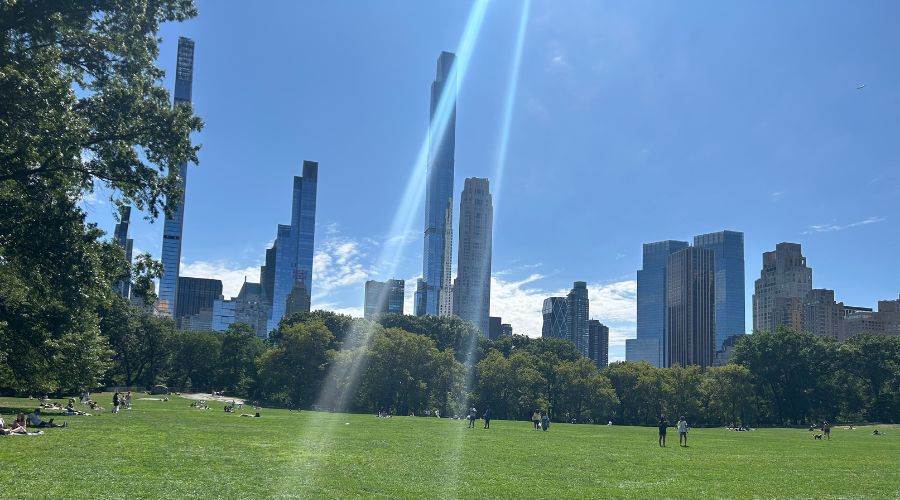 Happiness in Central Park with Sun Streaming Into Sheep's Meadow