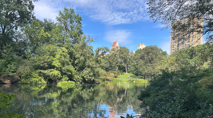 Central Park, NYC: Reflection on a lake and a blue sky: Personal Fulfillment