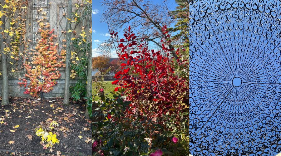 Autumn colors and ironwork at Untermyer Gardens showing contrast, perspective, and awareness, themes often explored by a mindset coach.