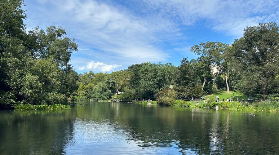 A calm pond surrounded by trees in a city park, with people sitting and walking along the shoreline under a partly cloudy blue sky.